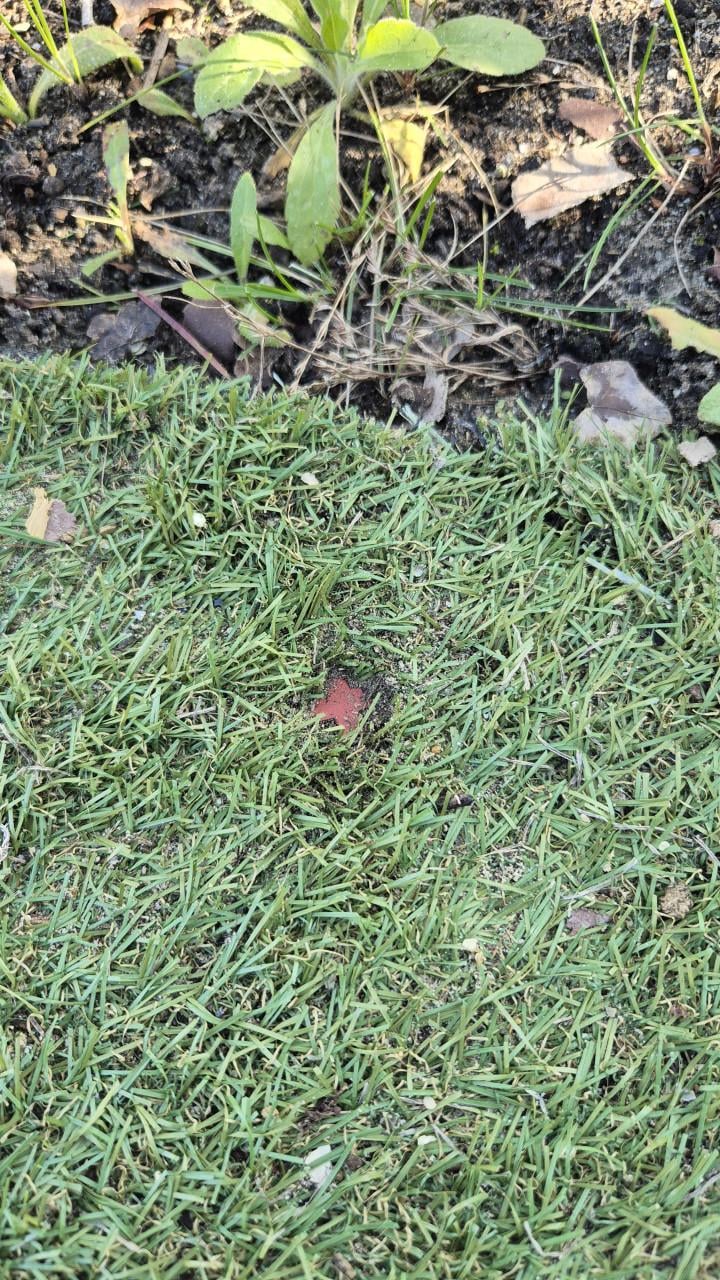 Plusminus 45 m² kunstgras met worteldoek