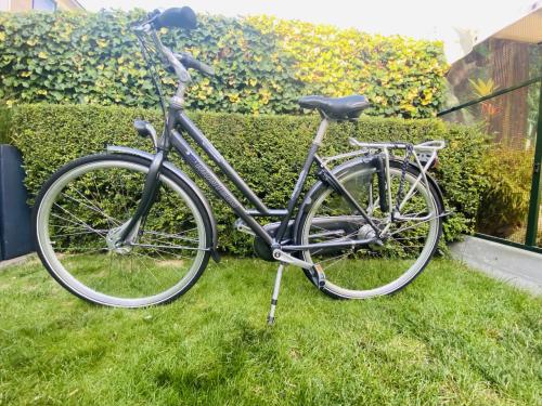 Dames Fiets