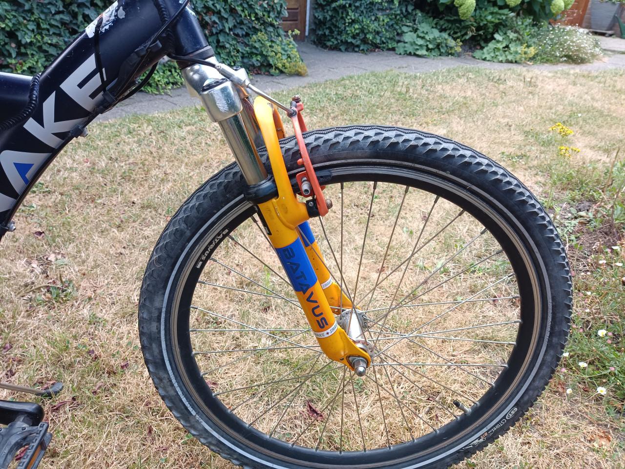 Batavus snake 20 inch kinderfiets met 3 versnellingen