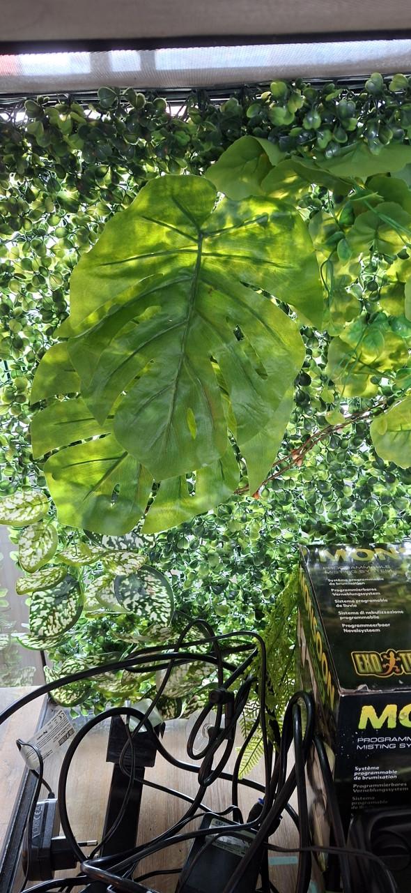 Terrarium inclusief toebehoren