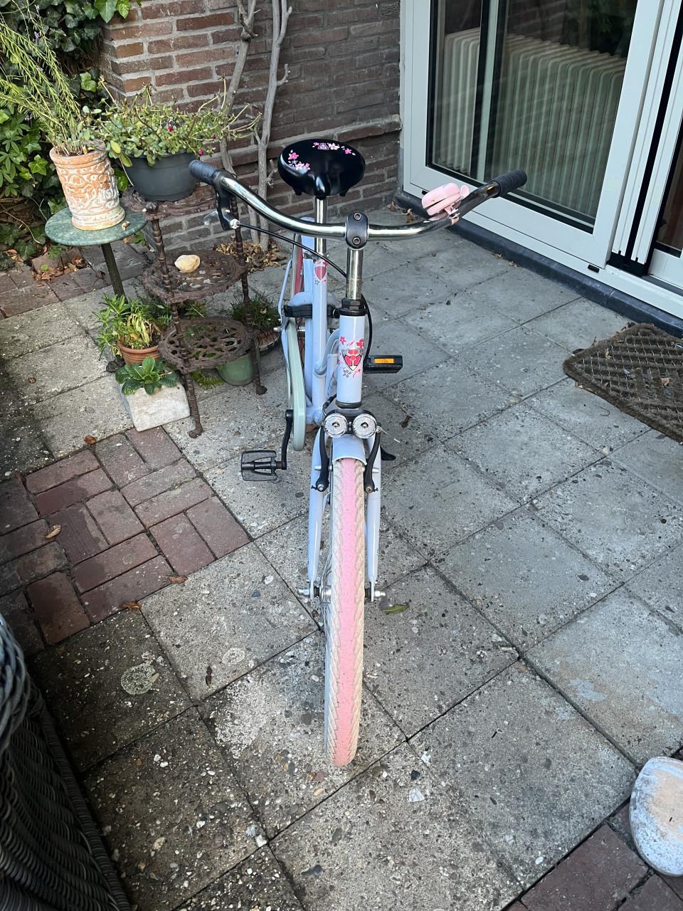 Meisjesfiets alpina 22 inch, 6-8 jaar