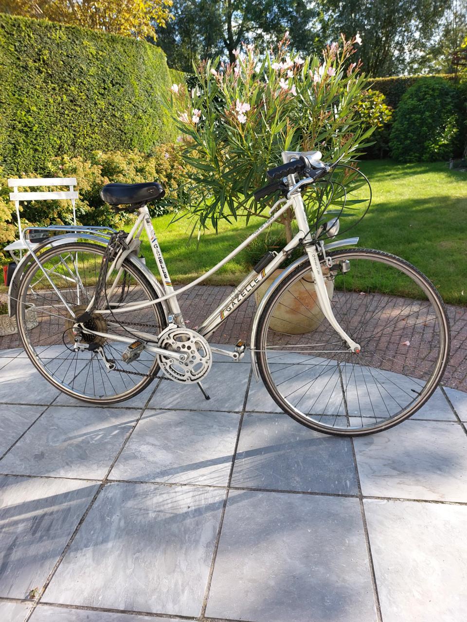 Electrische sportfiets en gratis fiets  mee te nemen.