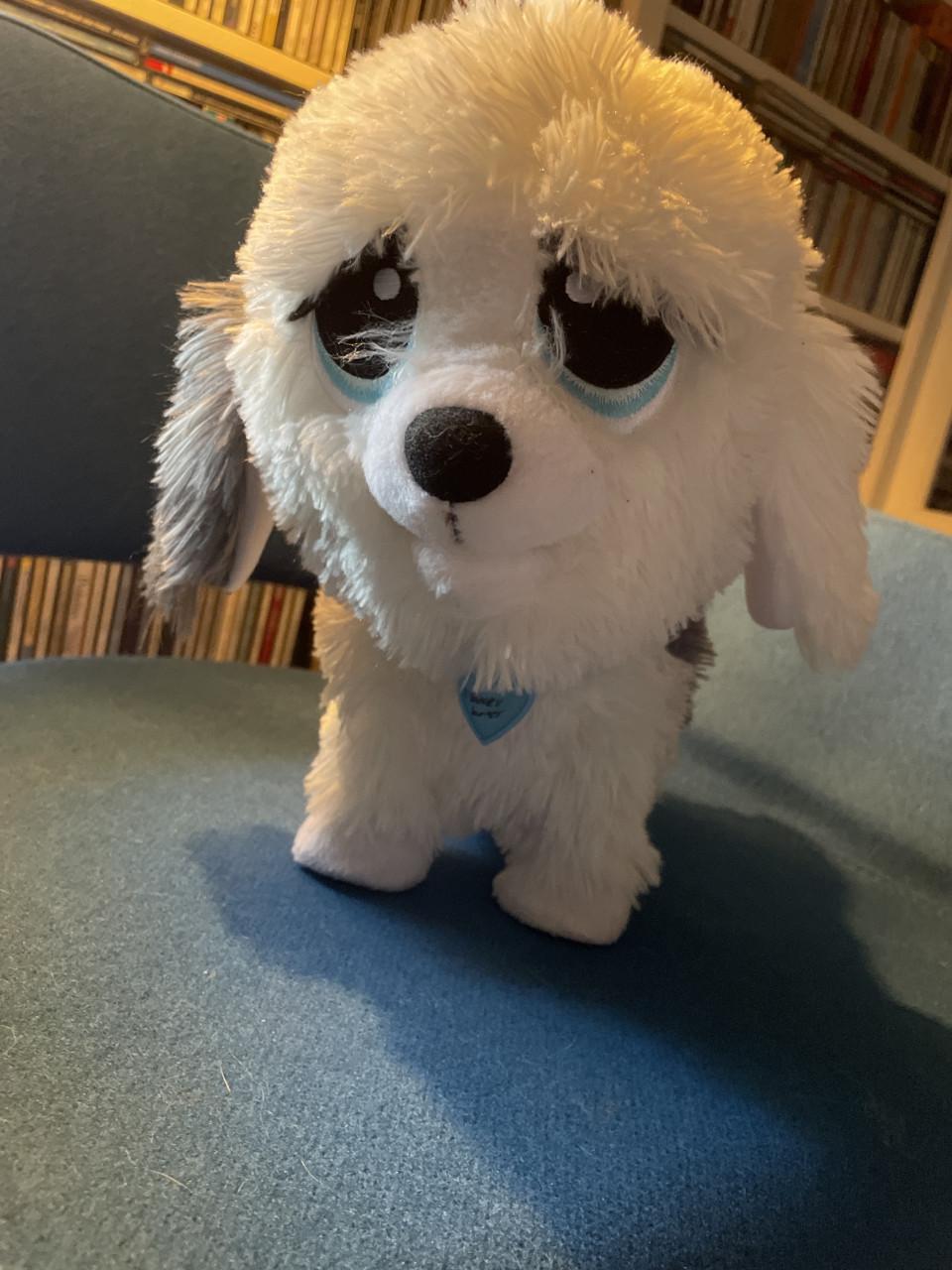 Beweeglijke hond