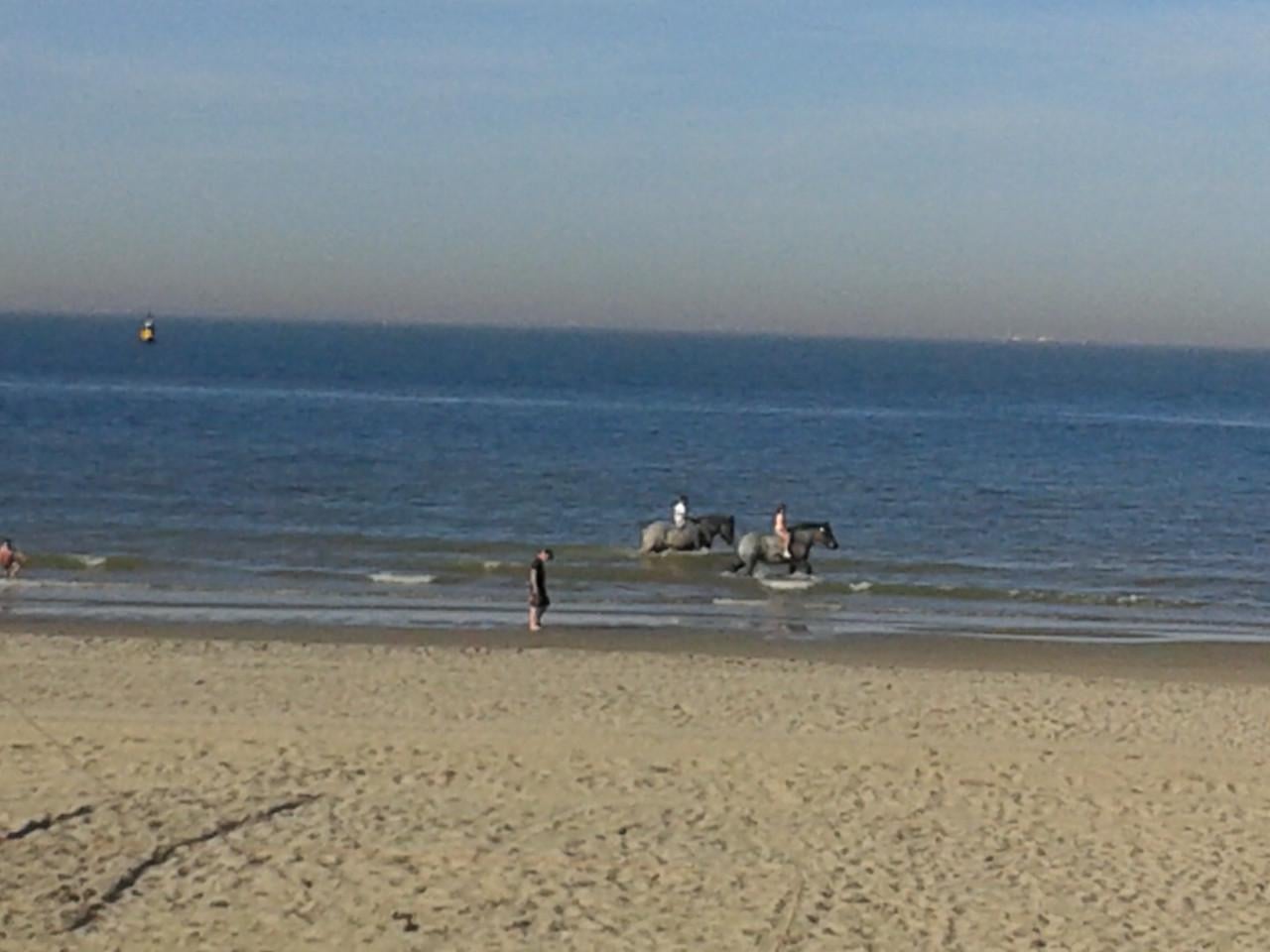 Dishoek Slaapstrandhuisje te huur
