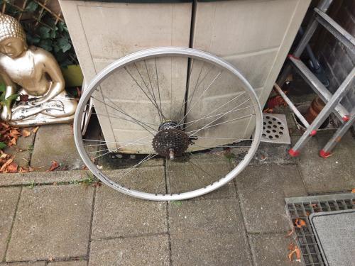 28 inch shimano achterwiel, 8 speed cassette, rollerbrake rem
