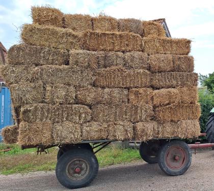 Gereserveerd - Kleine strobaaltjes