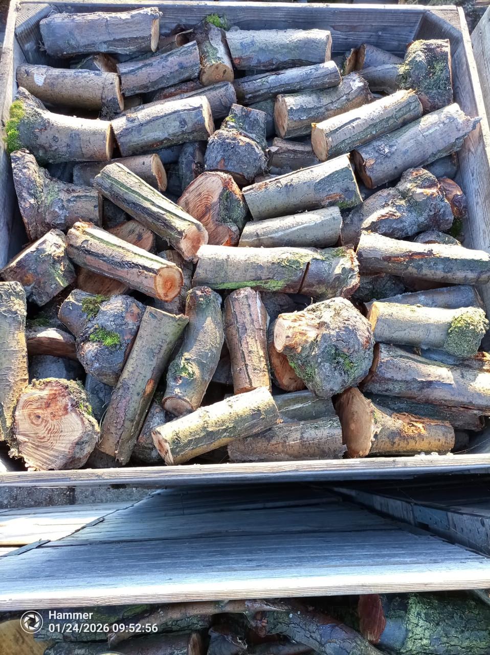 Openhaardhout appel, pas gerooid. € 60,- per kist.