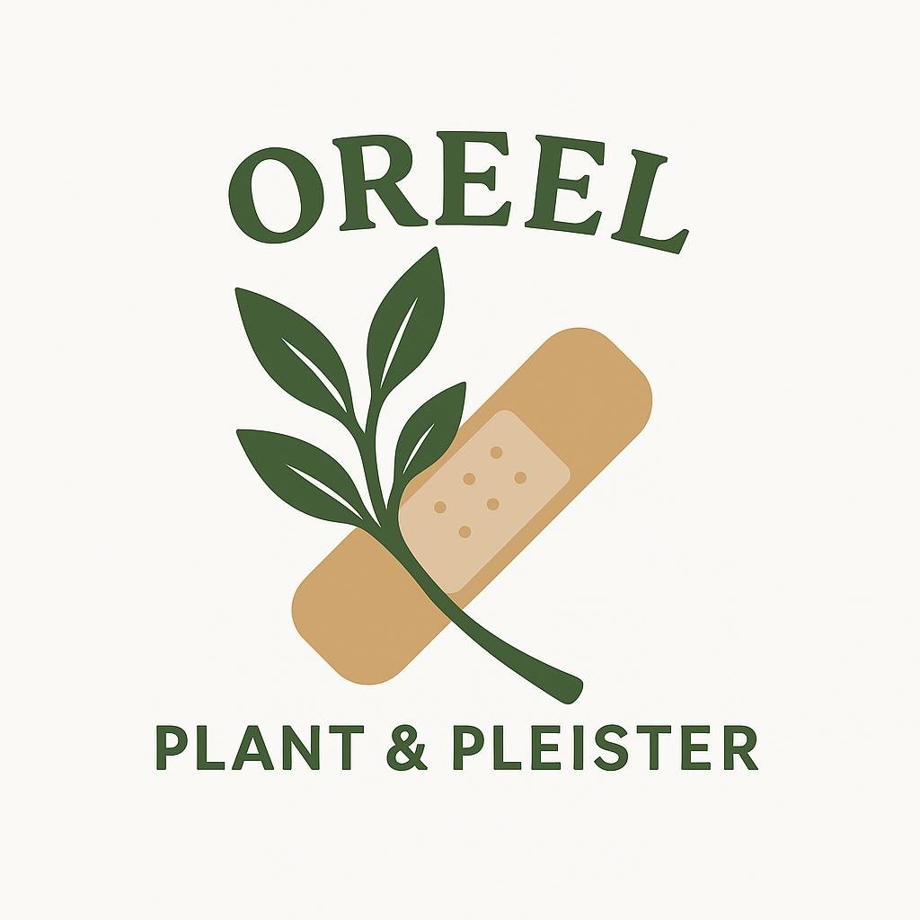 Vakbekwaam hovenier voor tuinonderhoud