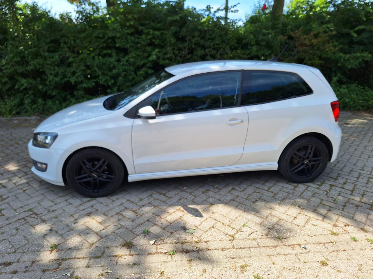VW Polo Blue Motion