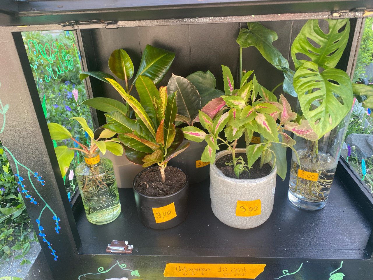 Planten en Stekjes