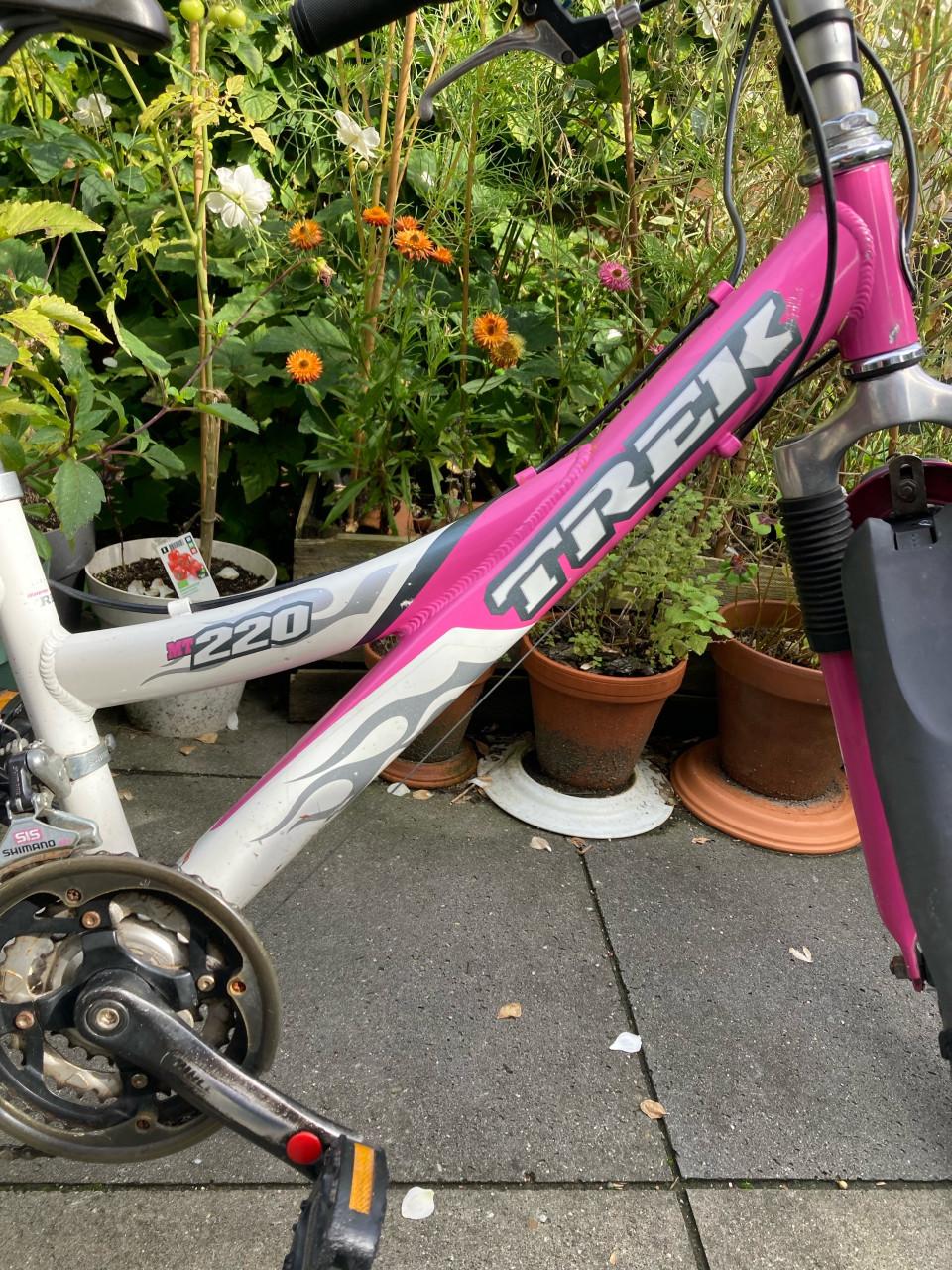 Kinderfiets merk Trek roze en wit 24 inch