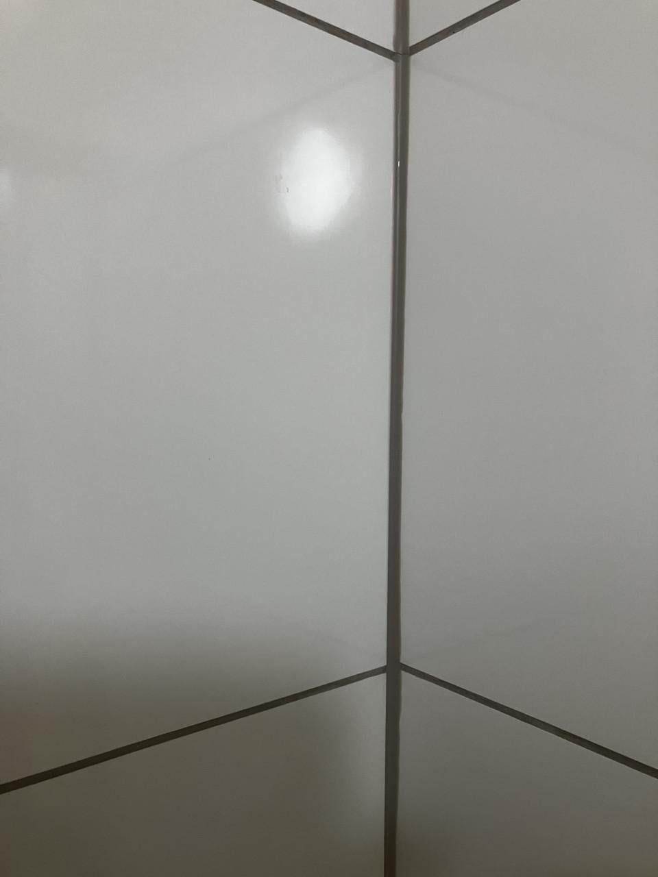 Wandtegels Steenbok Holland wit glans 30x60 cm gerec. 2,52m2
