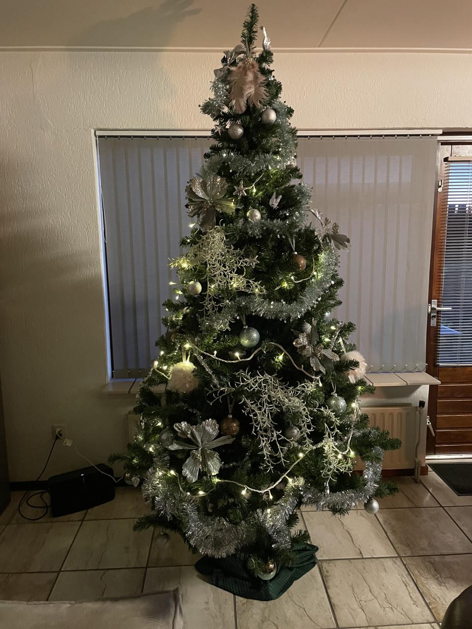 Kerstboom