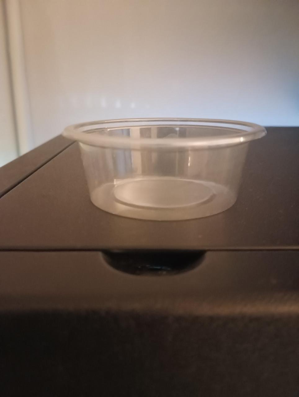 Salvinia Minima | Vlotvaren | Drijfplant