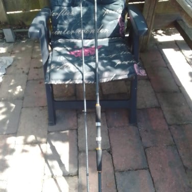 Daiwa Legalis Seabass 330 cm