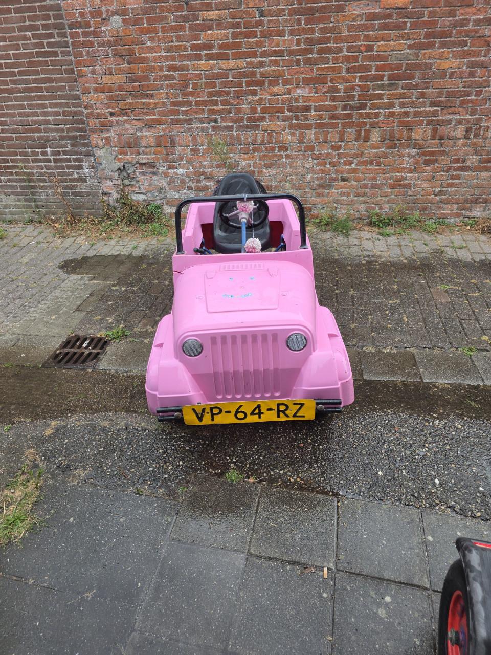 Mammoet skelter met karretje