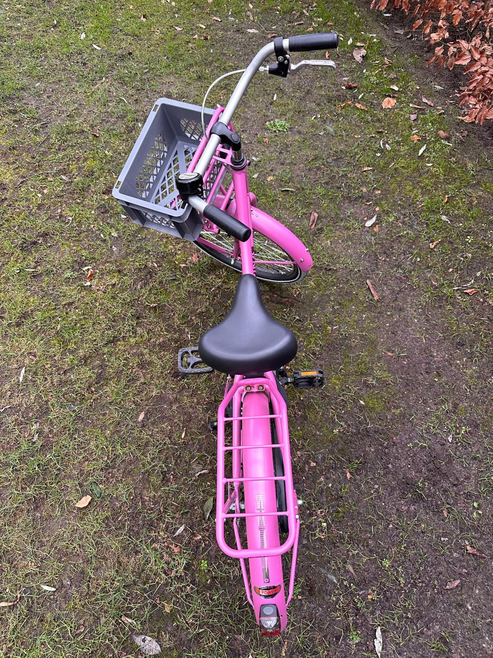 Meisjesfiets - 20 inch - Alpina Cargo Fuchsia Pink Matt