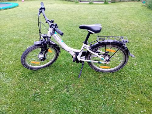 Pegasus kinderfiets 20 inch