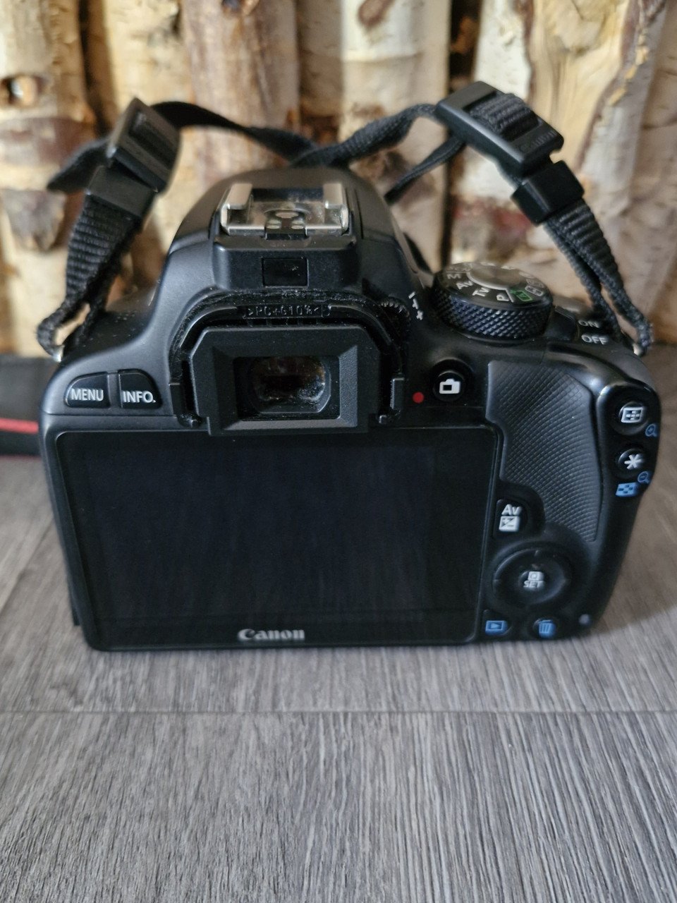 Canon 100d