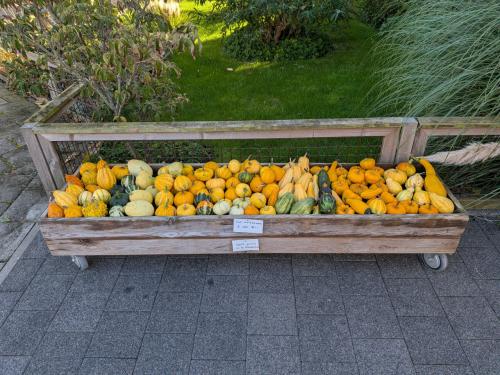 Kalebassen (de laatste)