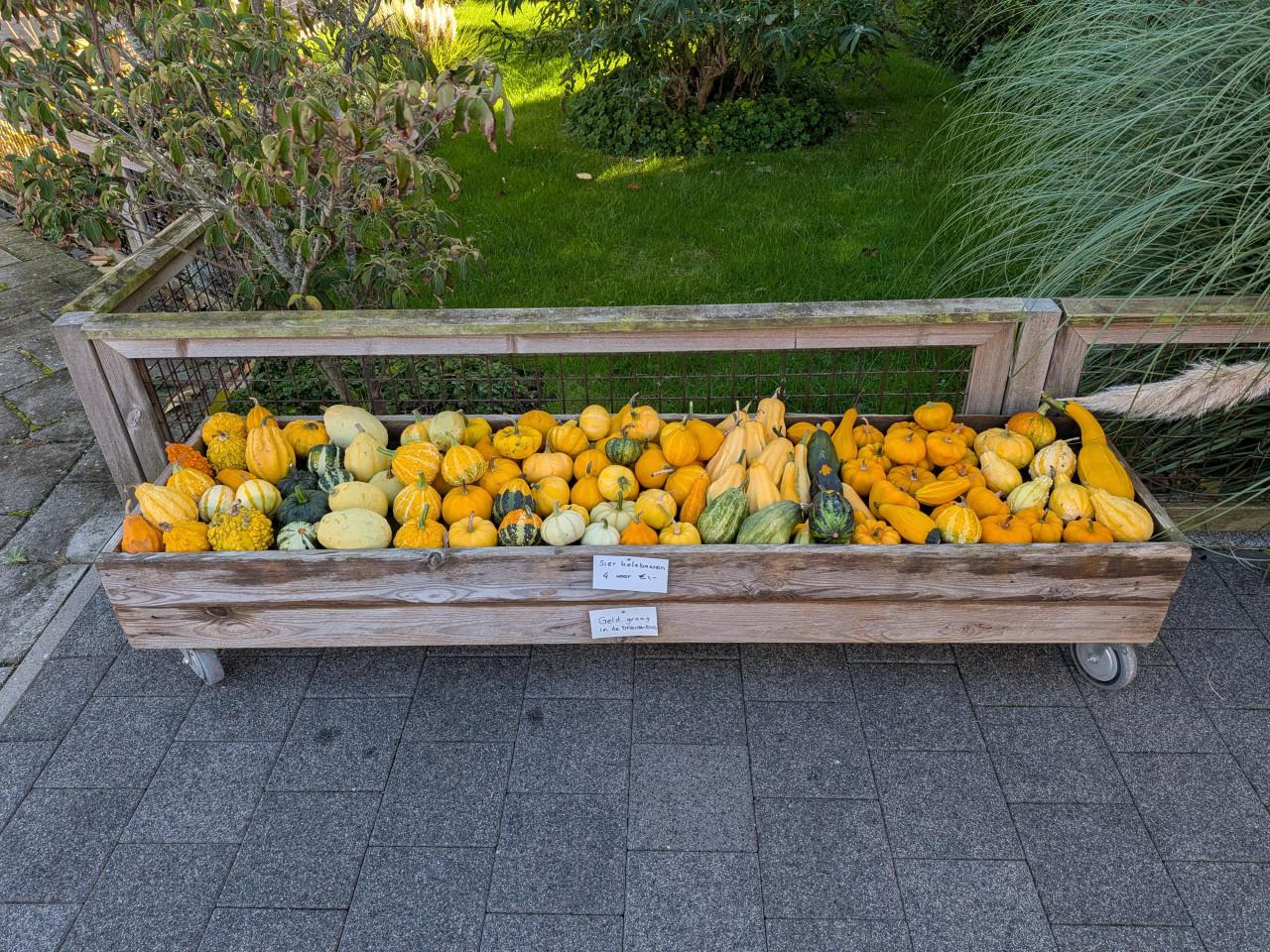 Kalebassen (de laatste)