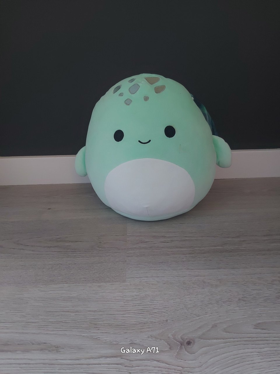 Squishmallows medium size