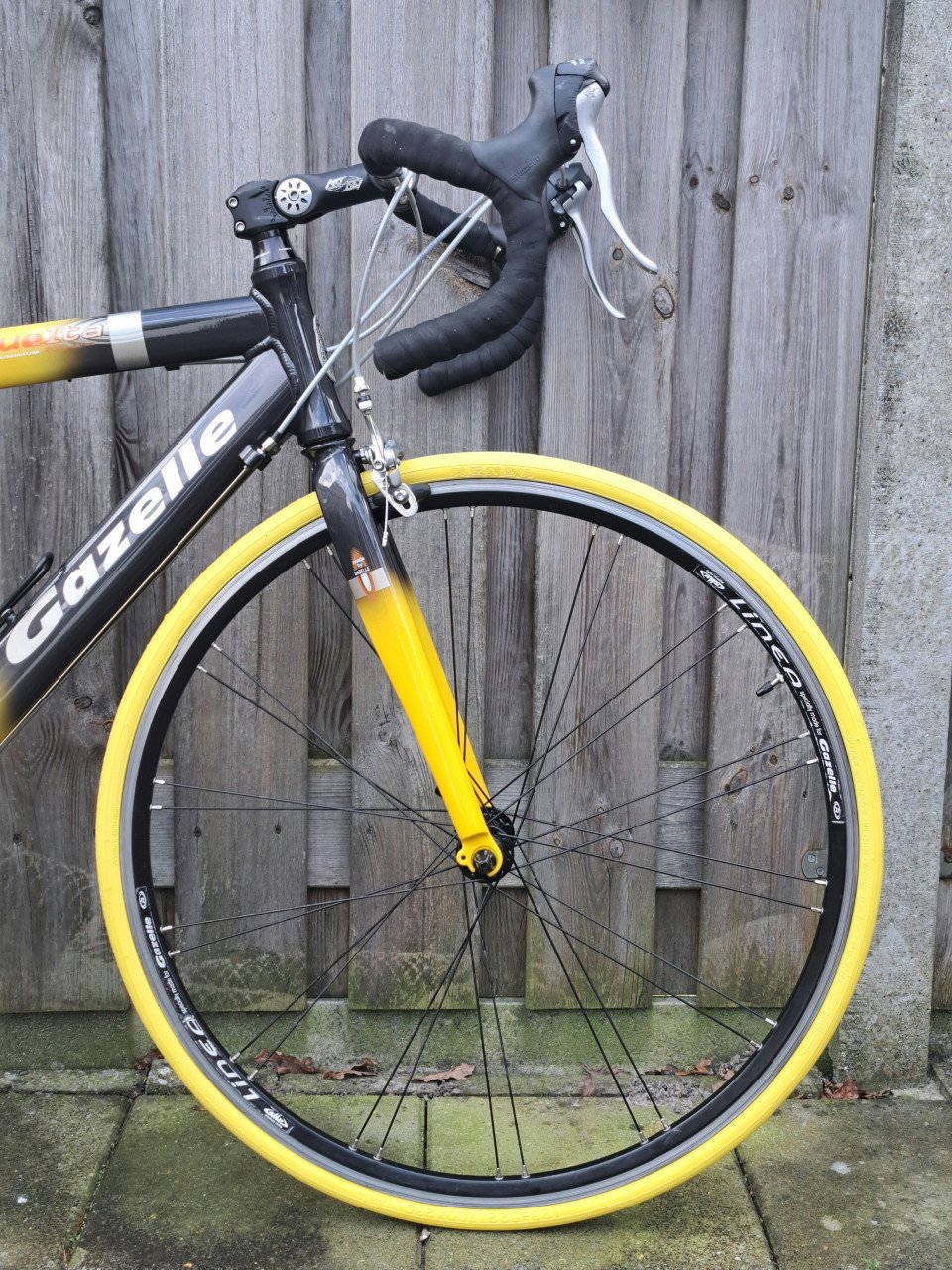 GAZELLE VUELTA