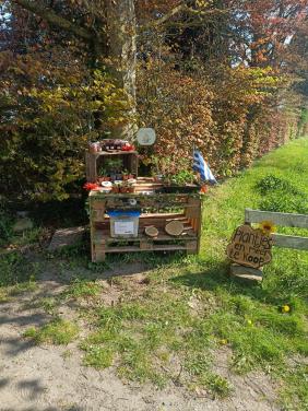 BIO plantjes, bloemetjes, jam, verse radijsjes en meer!