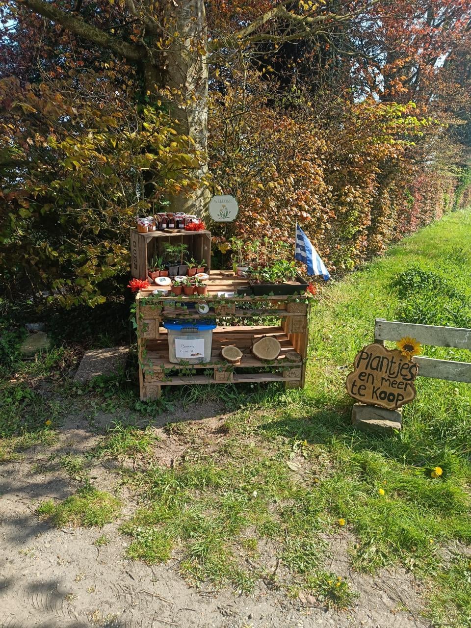 BIO plantjes, bloemetjes, jam, verse radijsjes en meer!