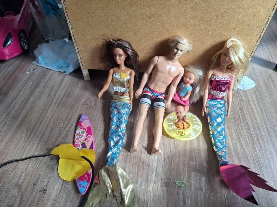 Barbies, huis, kleding, meubels, auto´s, sneeuwscooter en dieren