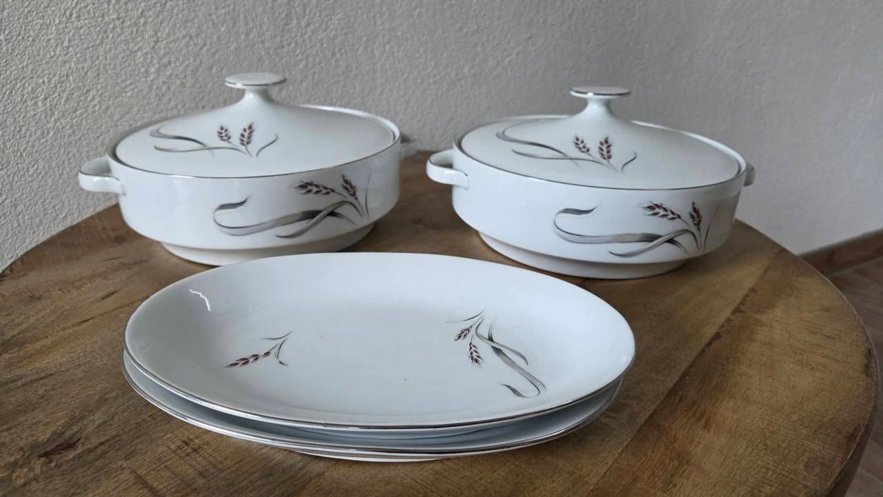 🌿 Vintage wit porseleinen Servies GH Bavaria (Gebrüder Benedikt),