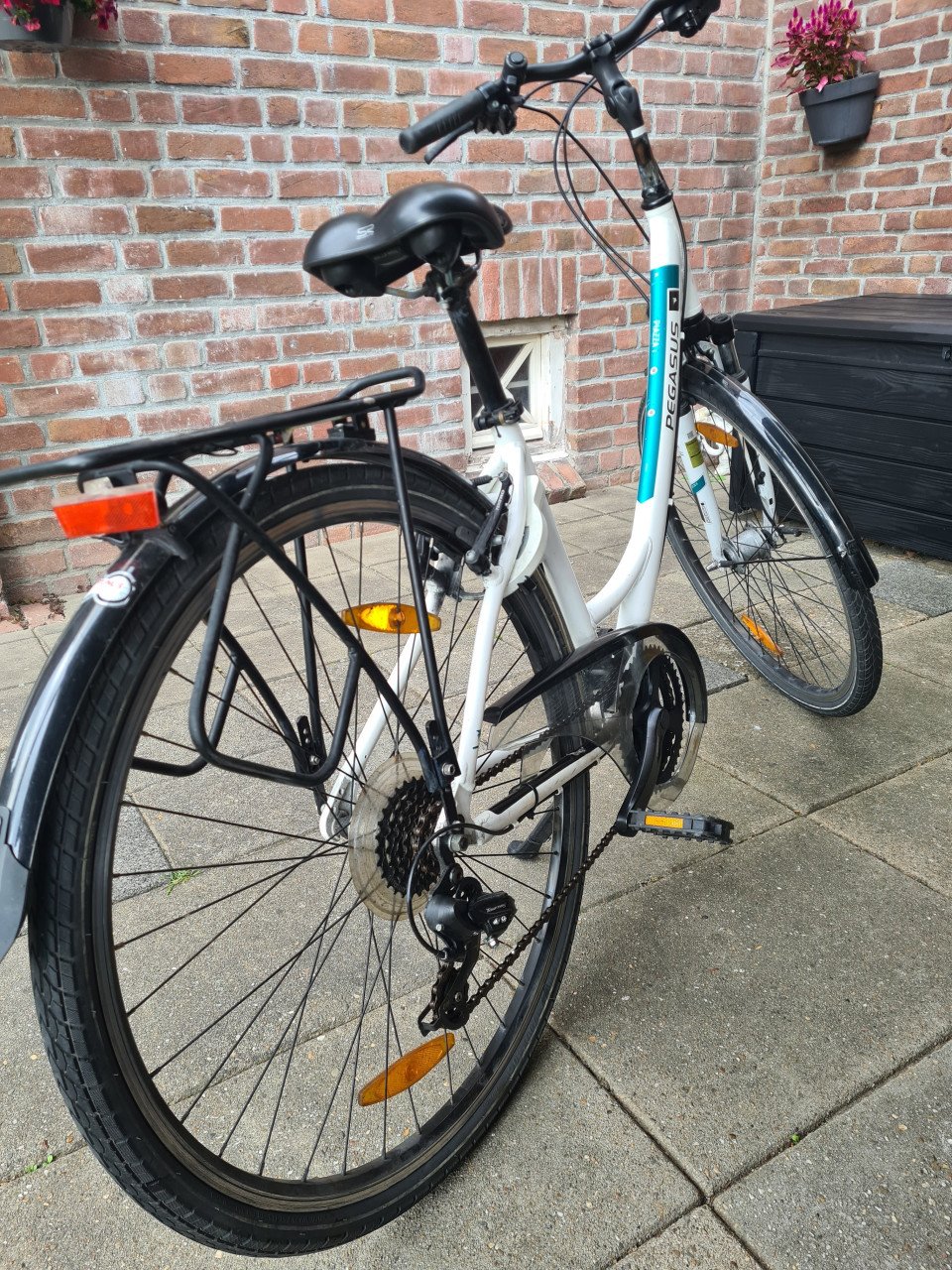 Dames fiets Pegasus