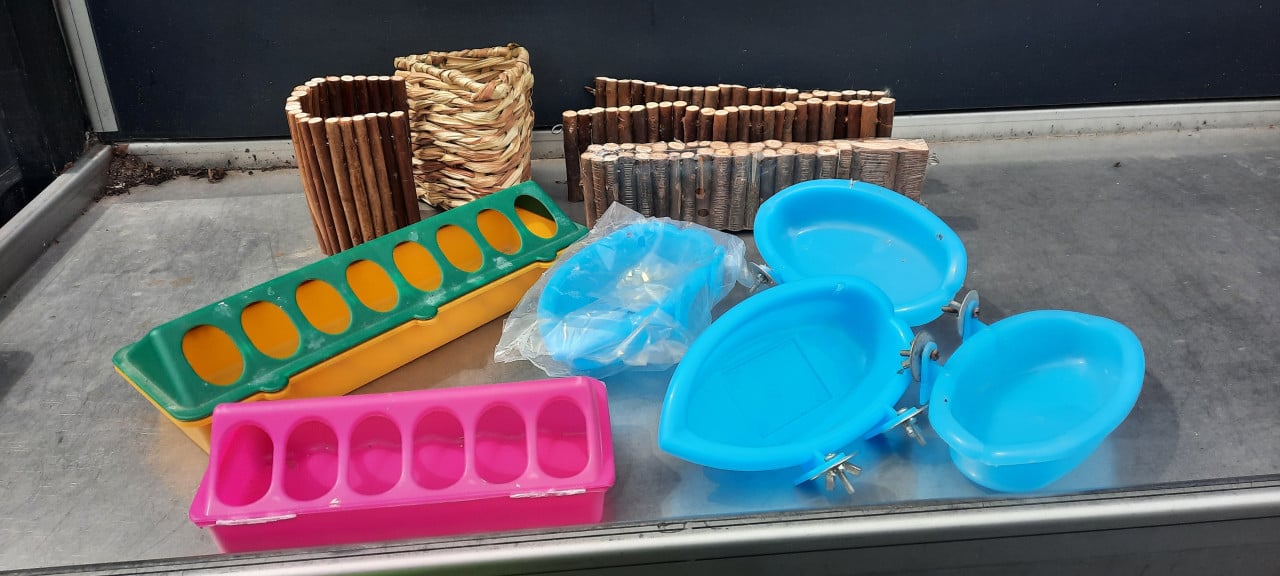 Diverse vogelspulletjes