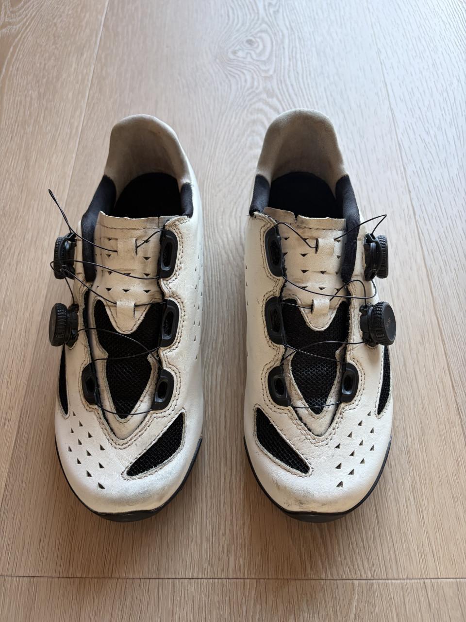 Lake CX 238 raceschoenen