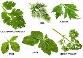 2 moestuinen te huur in middelburg