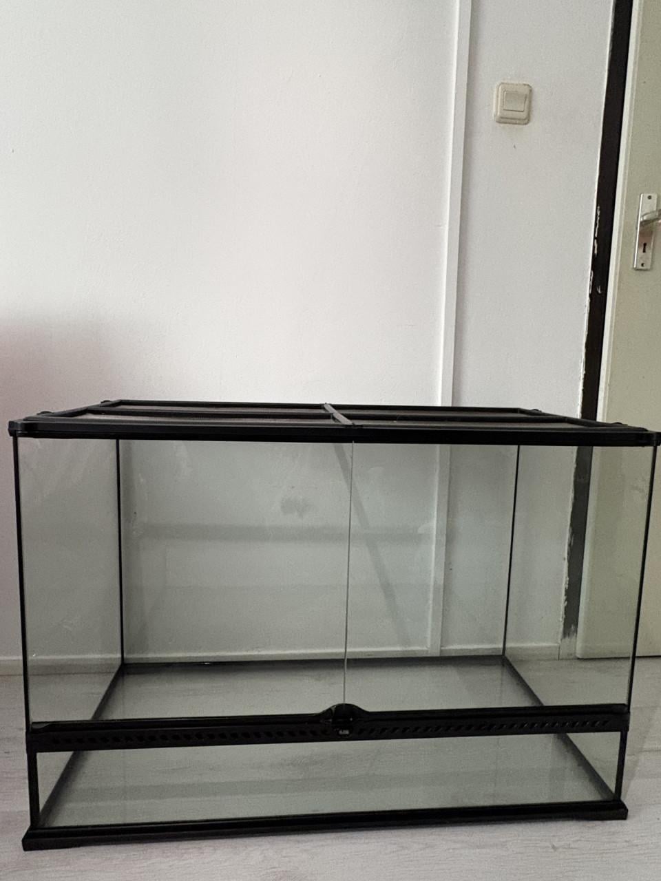 Terrarium