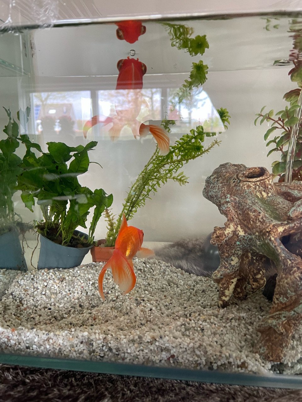 Aquarium