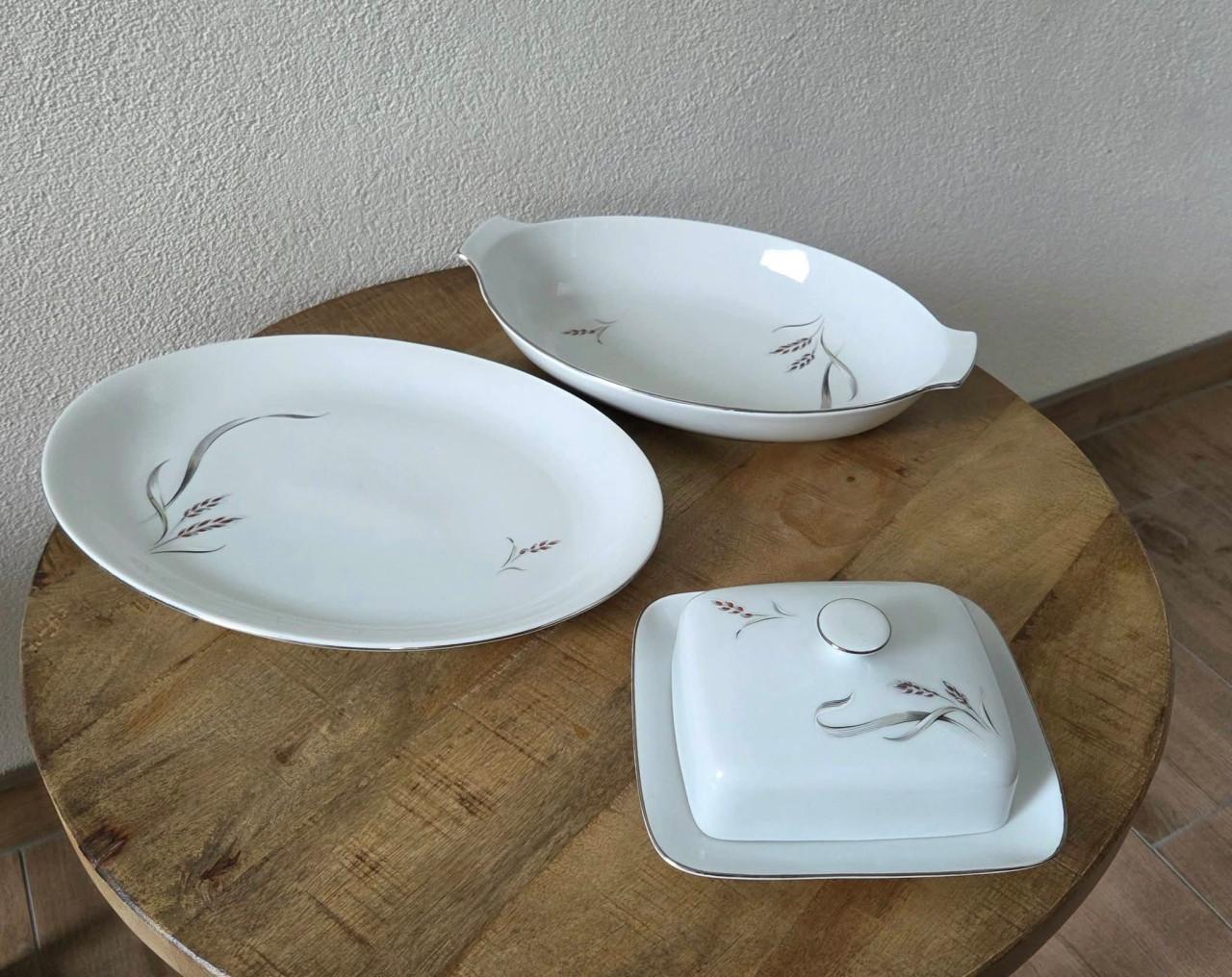🌿 Vintage wit porseleinen Servies GH Bavaria (Gebrüder Benedikt),