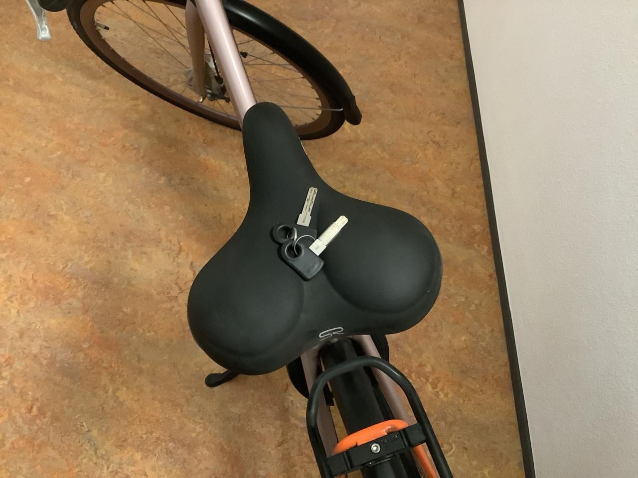 Keurige Batavus Dinsdag