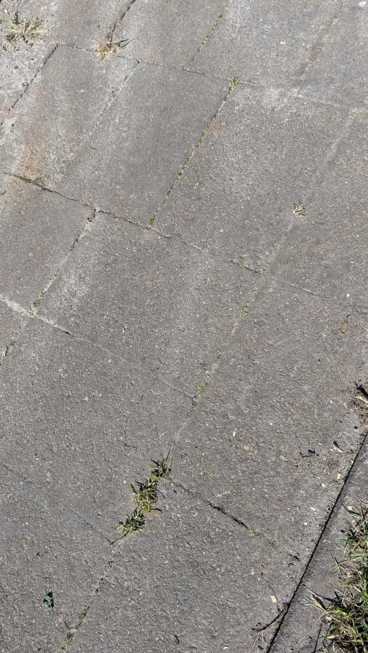 Gratis 20x30cm tegels beton