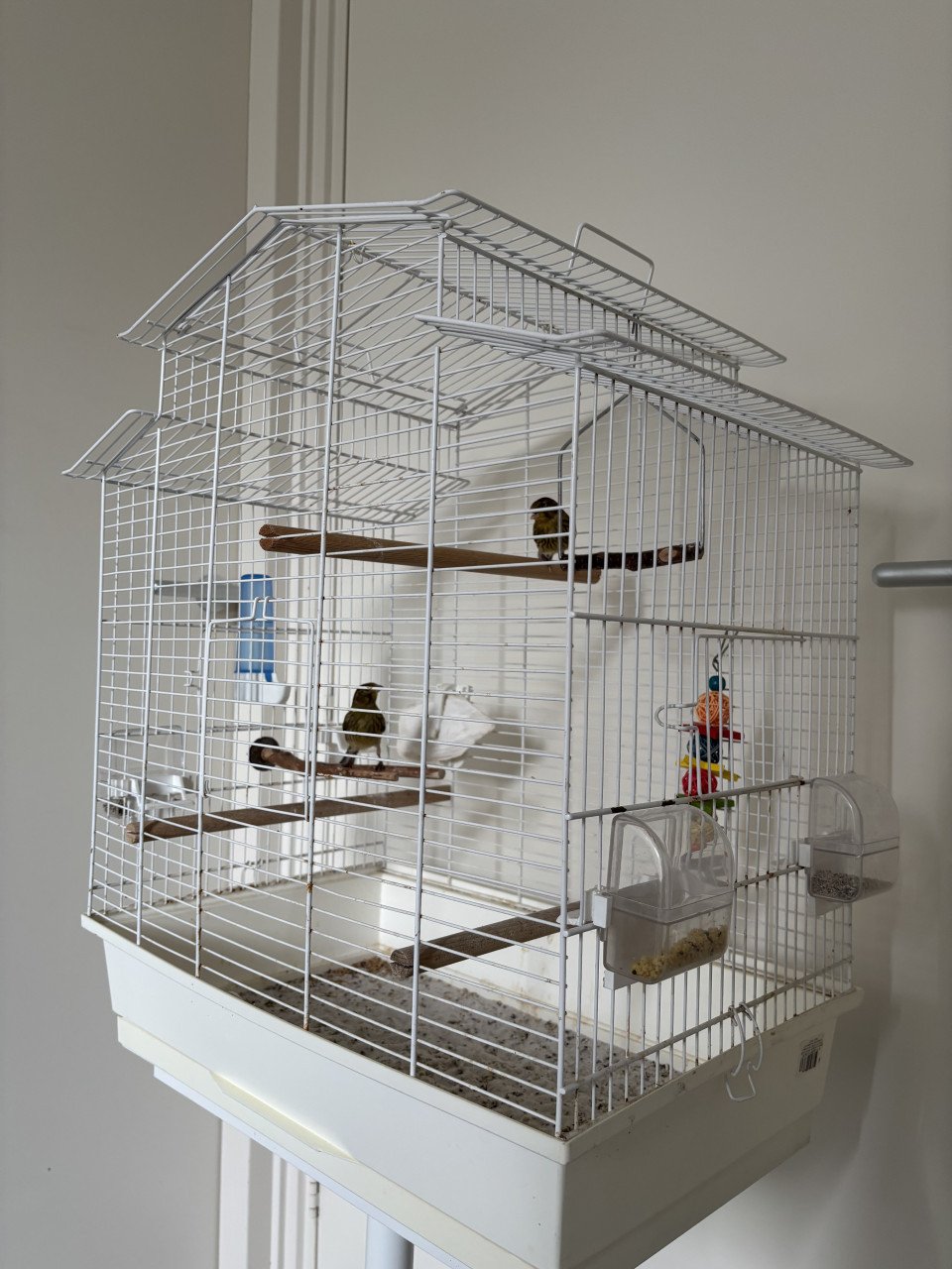 Complete vogelkooi - Met standaard