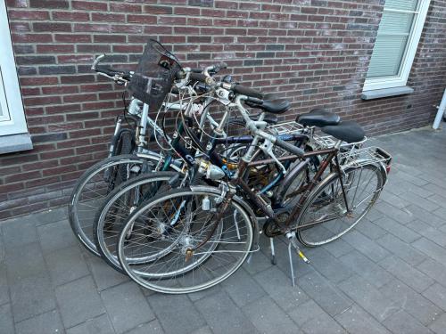 Opknappers! dames, heren, mountain, vouw