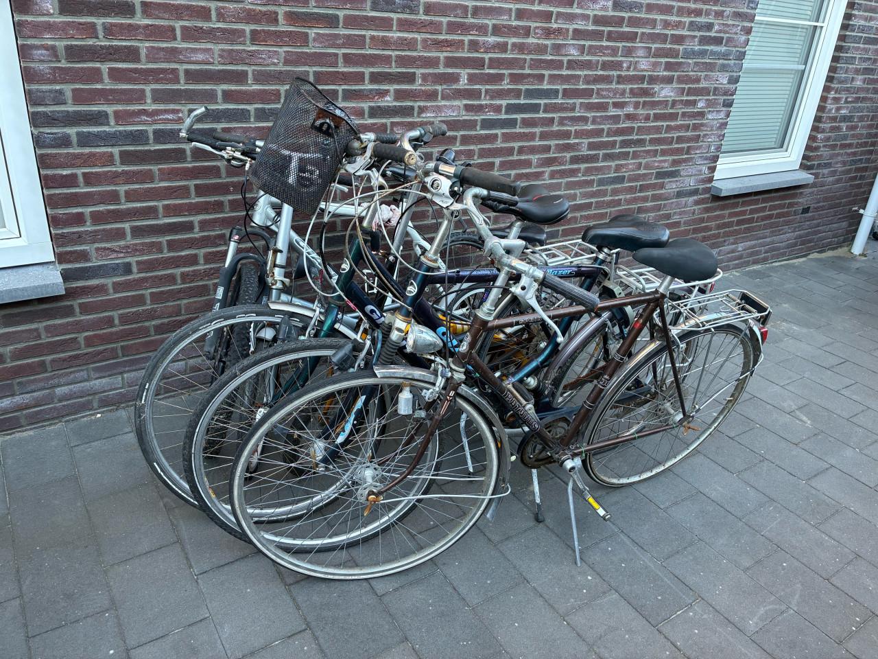 Opknappers! dames, heren, mountain, vouw