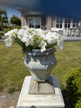 Grote zinken bloempot