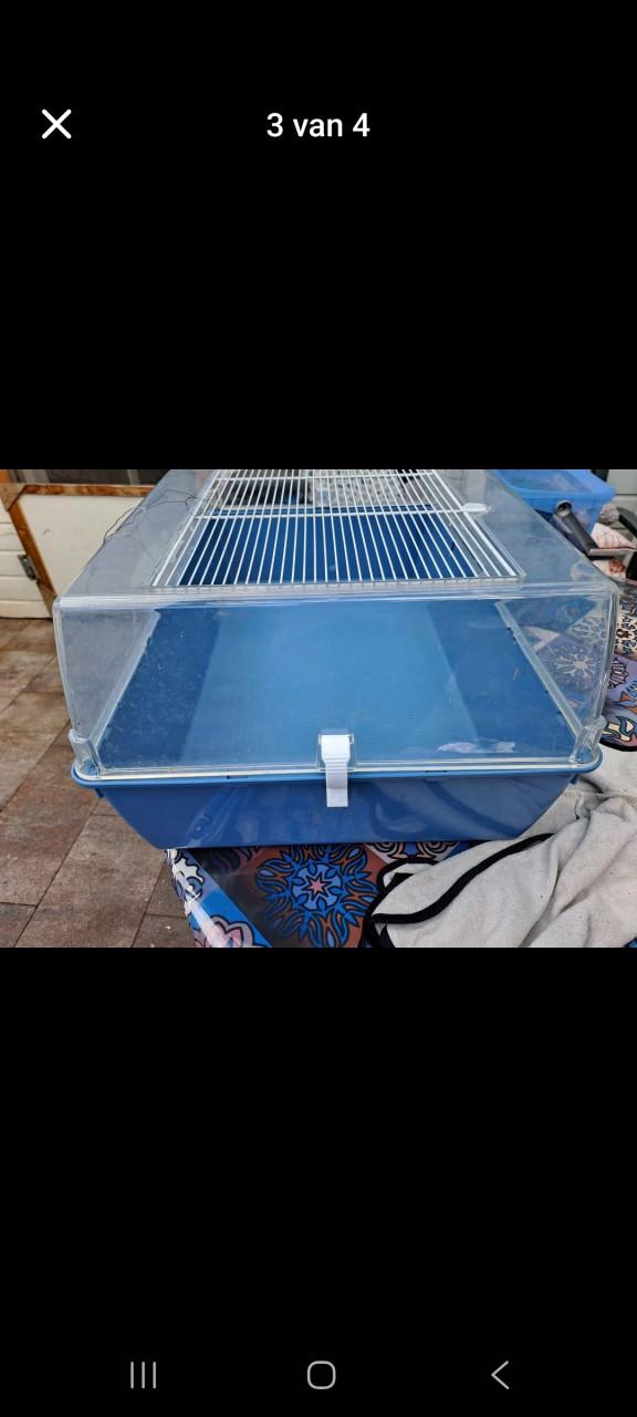 Caviakooi 70 x 45
