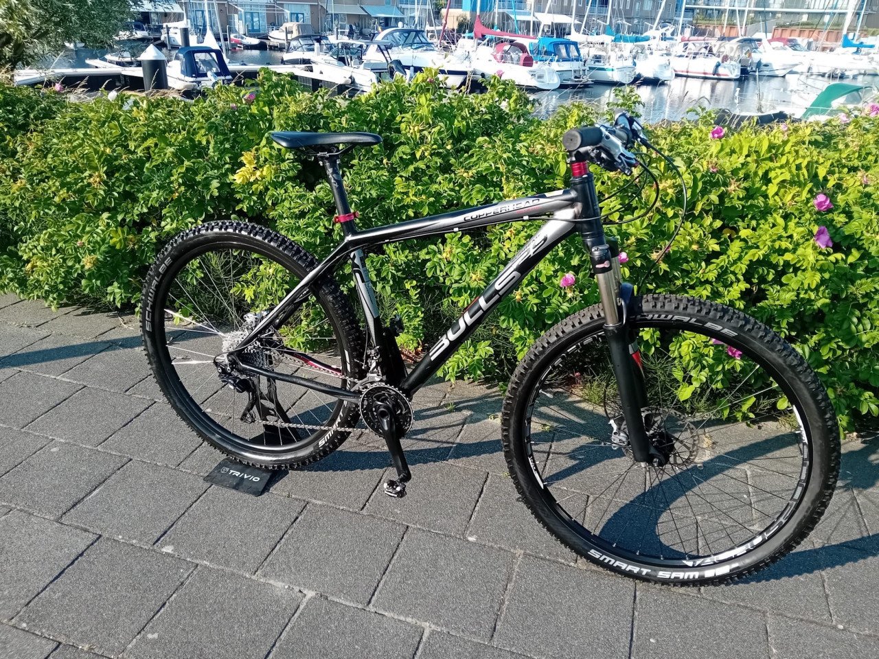 Stoere BULLS MTB 29er