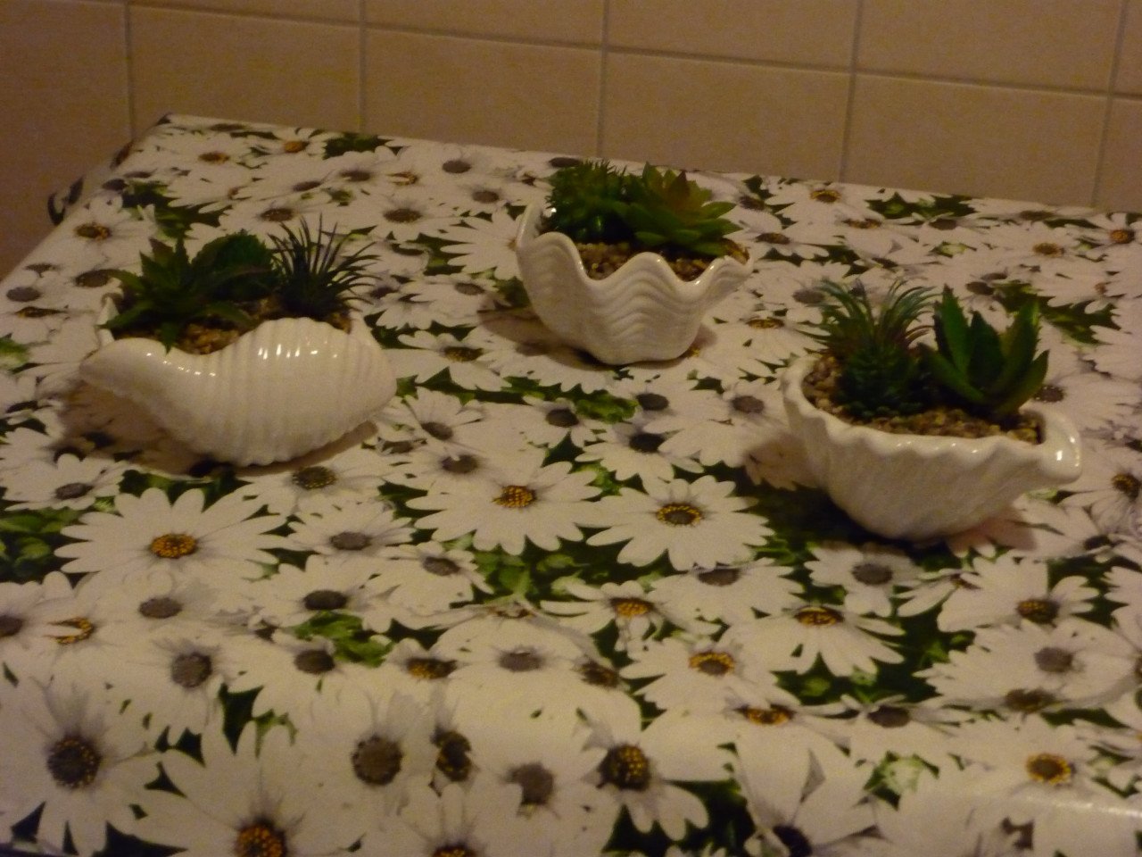 DIVERSEN KUNST VETPLANTJES