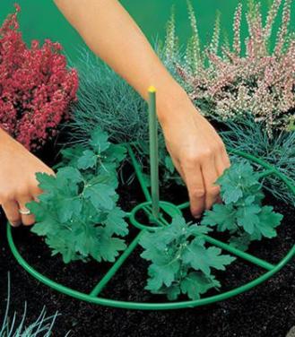 Nieuwe plantensteunen