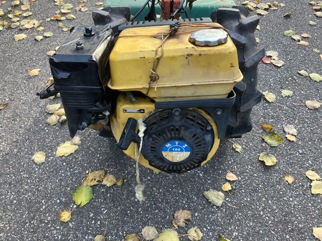 Tuinfrees met een klein beetje werk