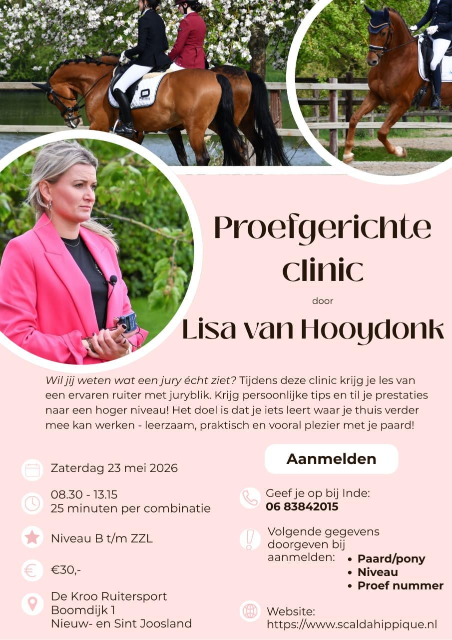 Kom ook naar dit leuke paarden evenement "Scalda Hippique"